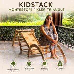 Montessori Pickler Triangle