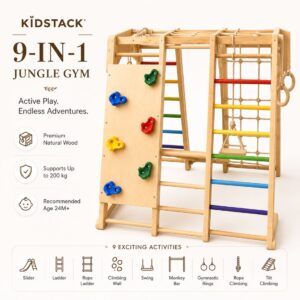 9-in-1 Multi-Activity Jungle Gym
